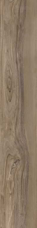 Harper Taupe 10 x 60